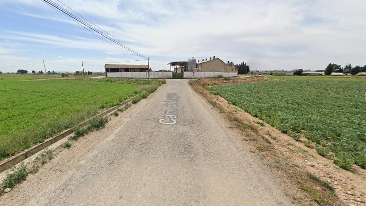 A la izquierda de la fotogafía, la acequia del camino de Longares, en Casetas.