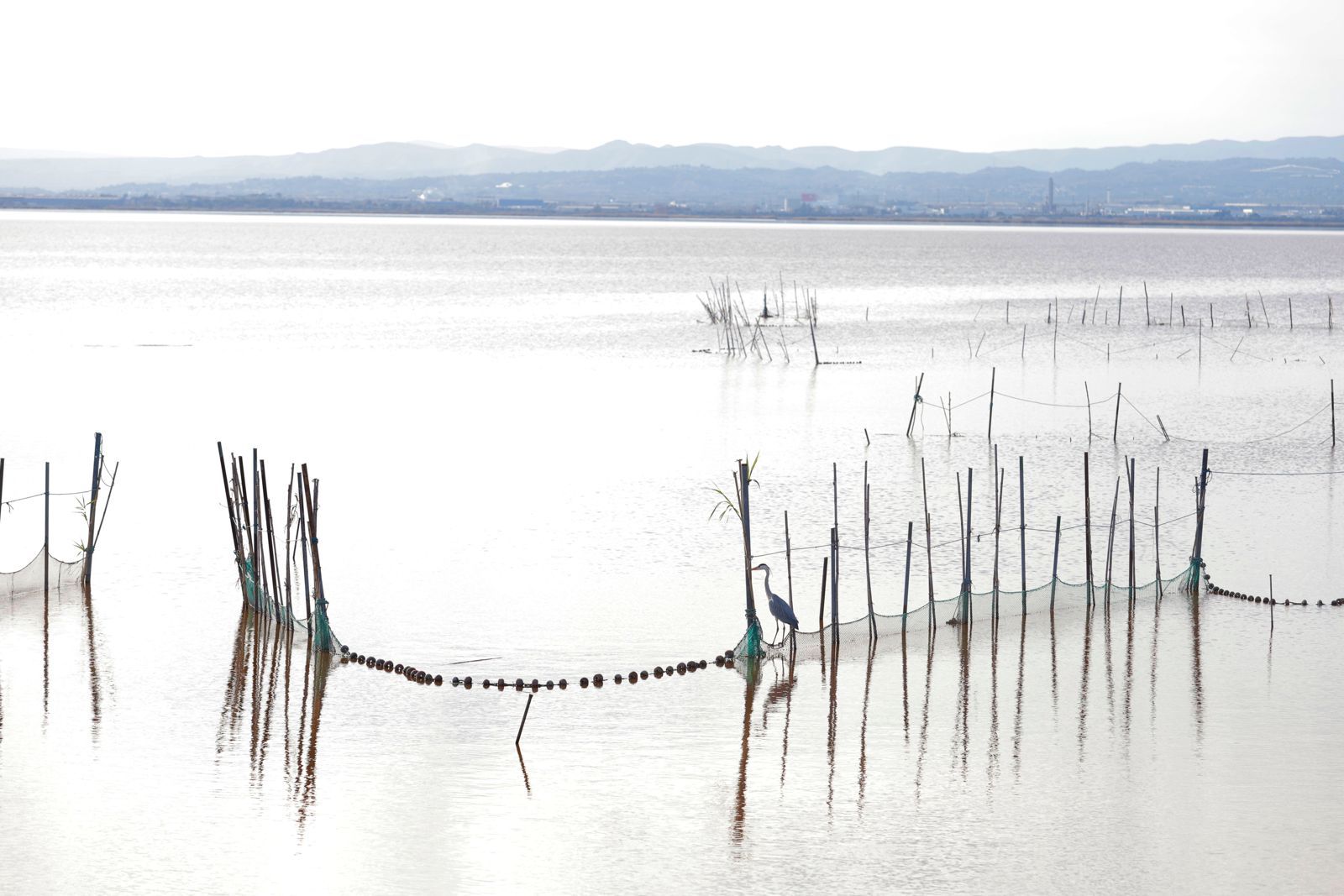 El lago de l'Albufera recibirá una aportación extraordinaria de agua de la Acequia Real