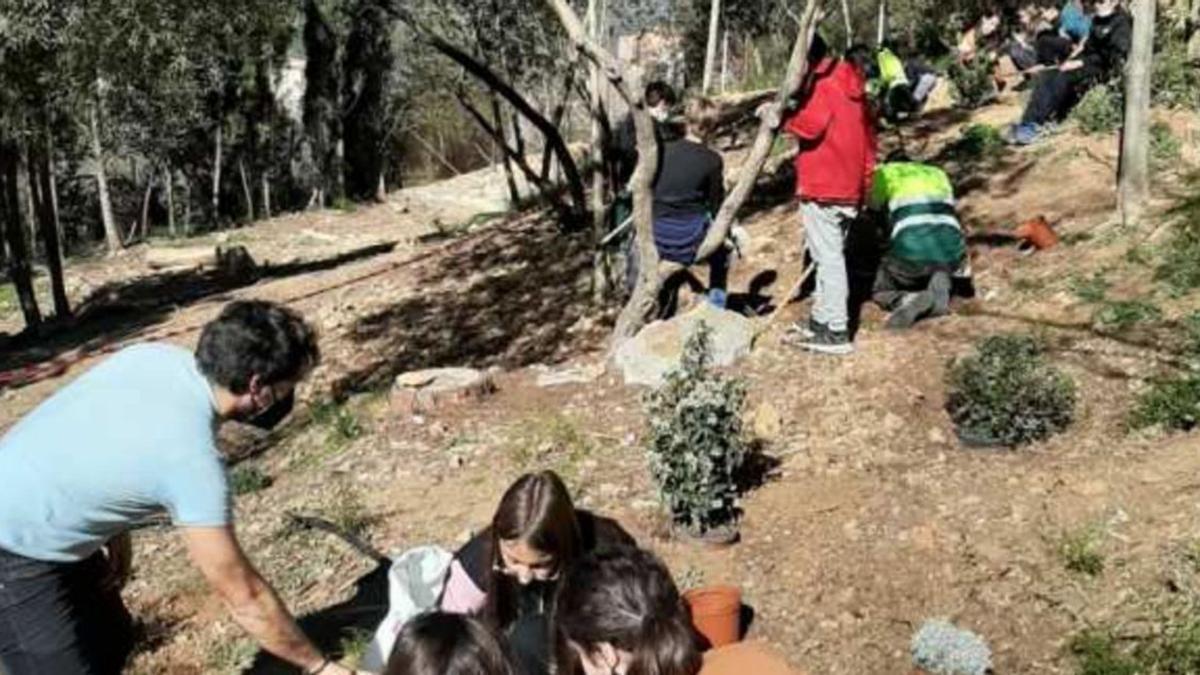 Recuperen la vegetació de l’escola de Montjuïc | NOMBRE FEQWIEOTÓGRAFO
