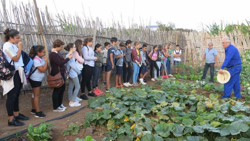 Clase a pie de huerta sobre la agricultura ecológica