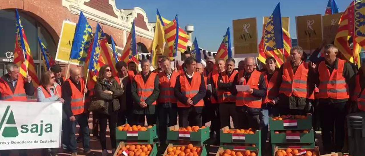 Protesta de citricultores en Castelló