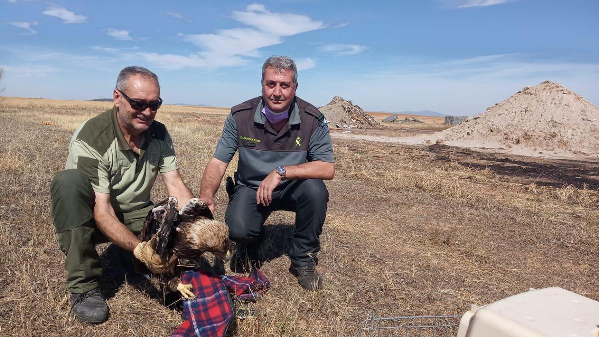 Un agente de Medio Ambiente y un guardia civil, con el águila recuperada.