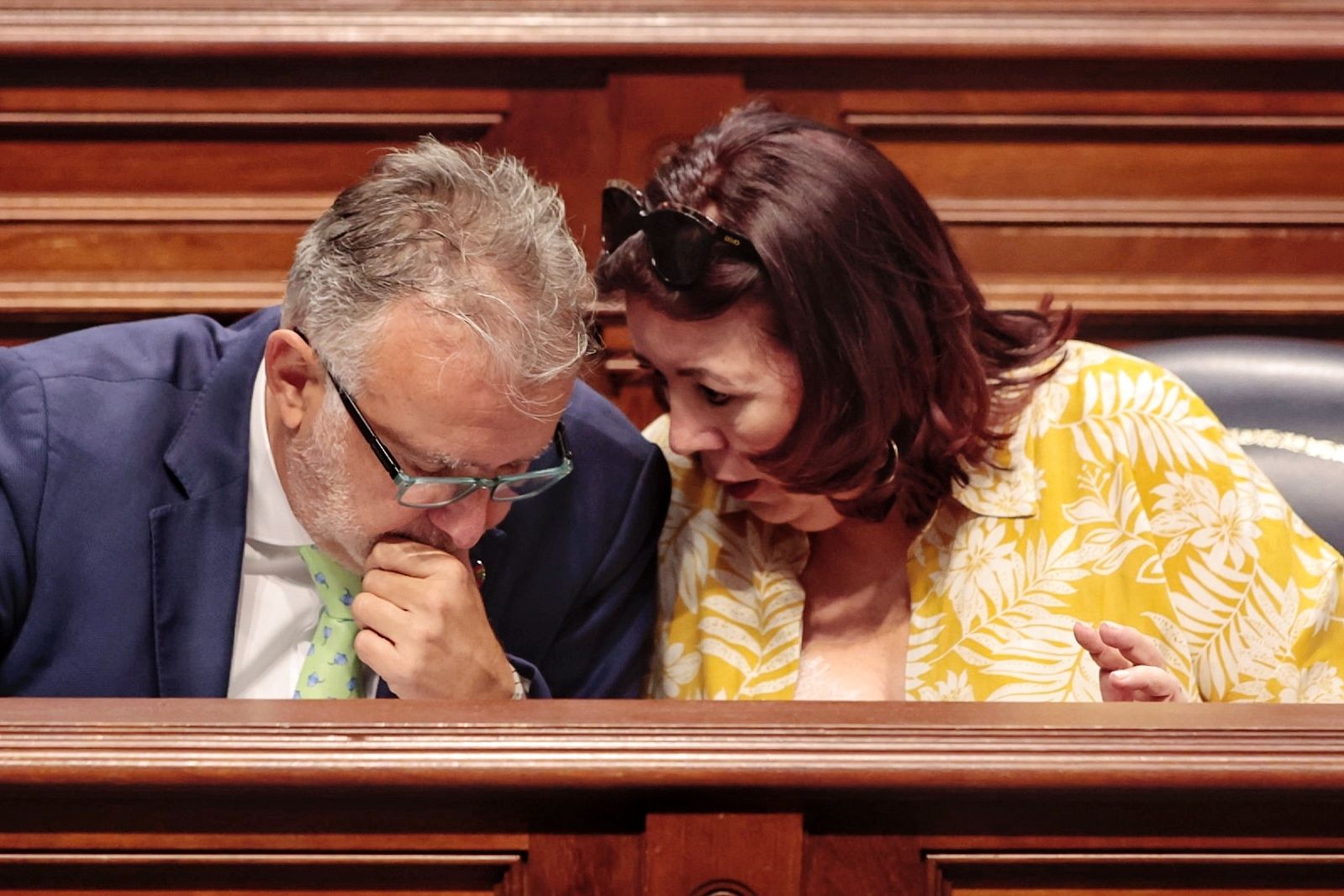 Pleno del Parlamento de Canarias (08/06/22)