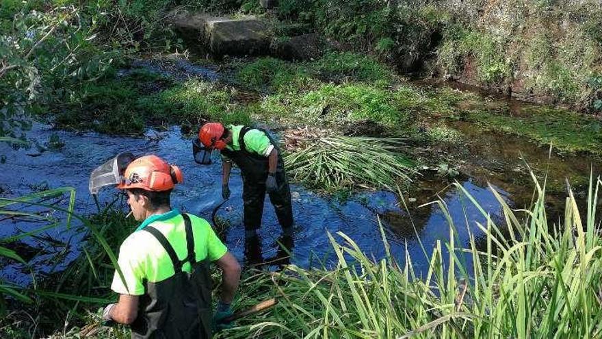 Limpieza del cauce del río por los operarios // Faro