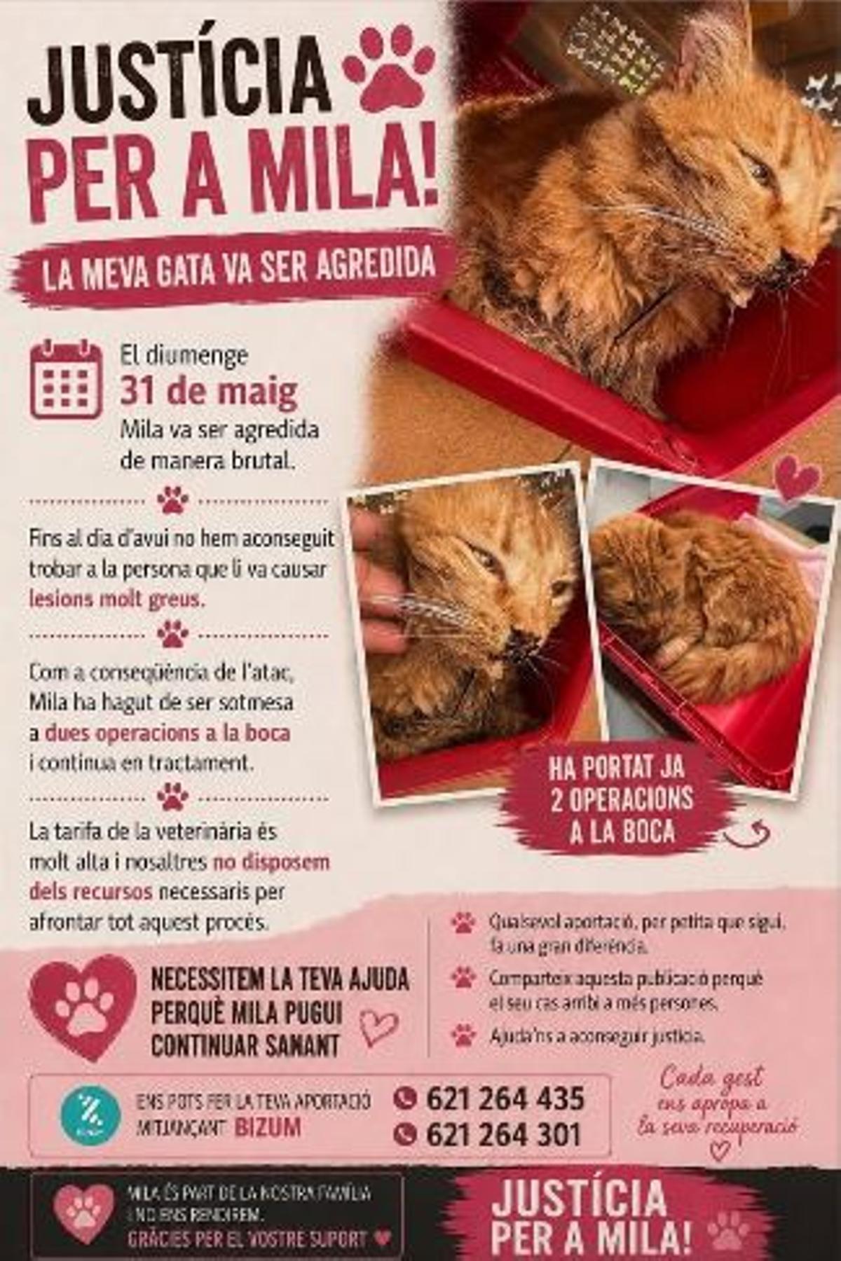 Cartell de la campanya
