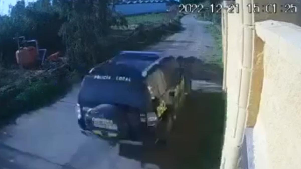 El coche de la policía local de Chipiona, en el momento en que atropella al perro