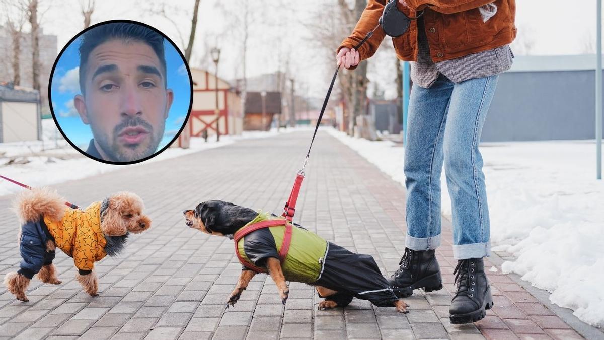 Alberto Sanz, adiestrador canino: “La mayoría comete el mismo error y le pone la correa al perro justo antes de salir y eso sólo lo activa más”