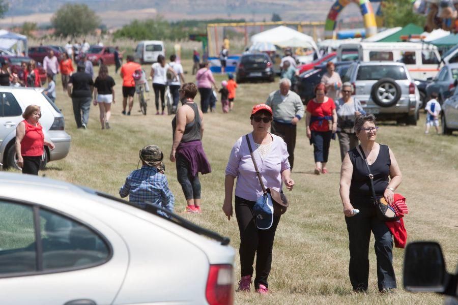 Romería de la Virgen del Viso en Bamba