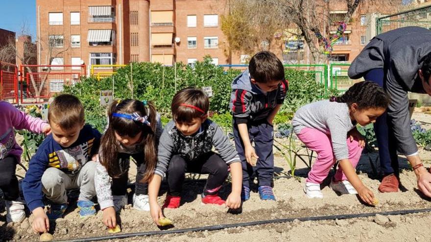 El alcalde plantando con los niños en el cole