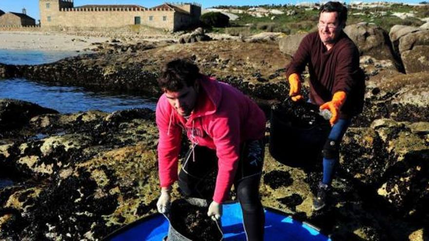 Trabajos de recogida de mejilla (semilla de mejillón) en las rocas de la isla de Sálvora.  // Iñaki Abella