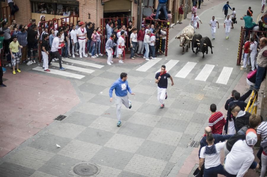 Becerrada, encierros y vaca de la sangría