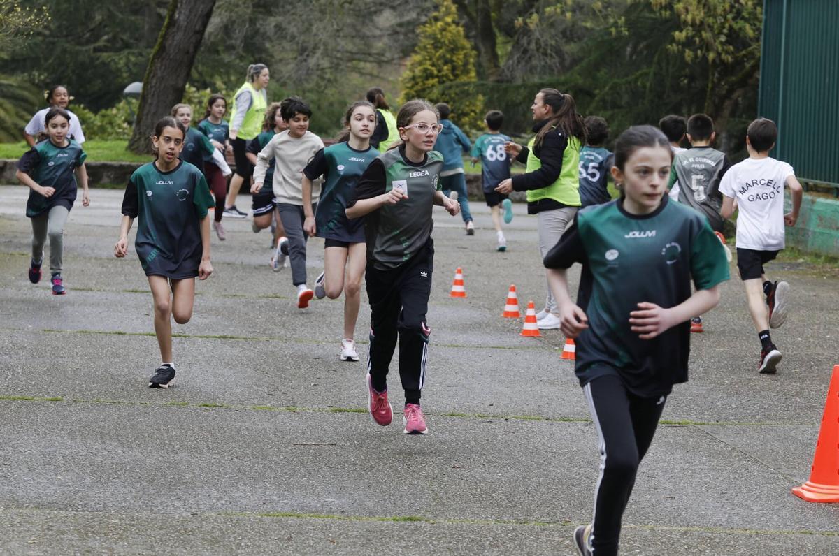 En imágenes: Participantes en la cross escolar del Marcelo Gago en homenaje a Dacal En imágenes: Participantes en la cross escolar del Marcelo Gago en homenaje a Dacal