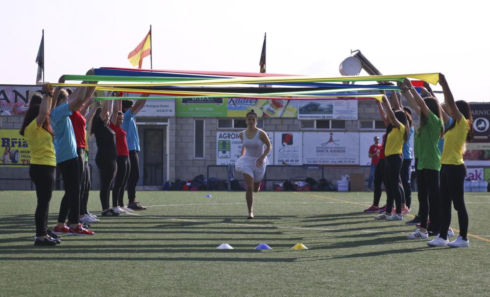 Más de 1.300 estudiantes de las comarcas de la Vega Baja y el Baix Vinalopó participan en la X edición de las Olimpiadas Clásicas.