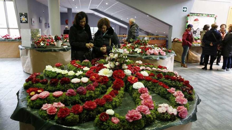 La exposición de la Camelia se inauguró el viernes en Salceda de Caselas. // R. Grobas