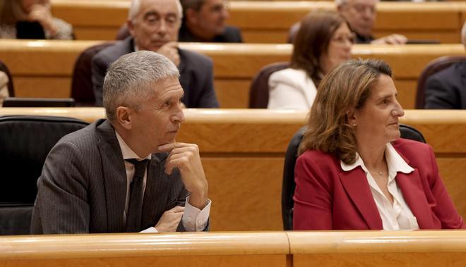 Sesión de control al Gobierno en el Senado.