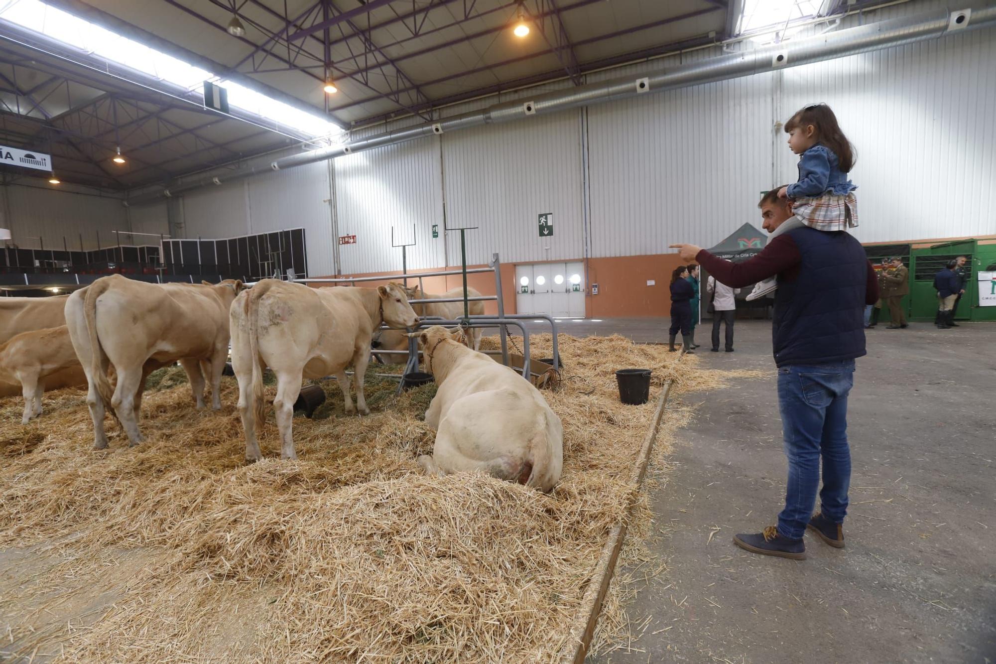 Figan abre sus puertas en la Feria de Zaragoza con más de mil expositores