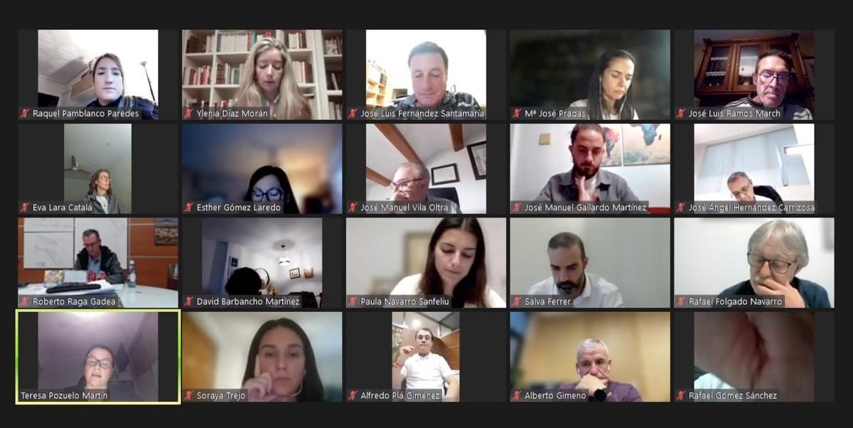 Pleno virtual celebrado el 4 de noviembre