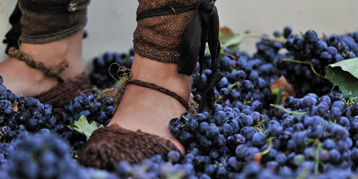 Las Fiestas de la Vendimia de Jumilla se celebran en agosto