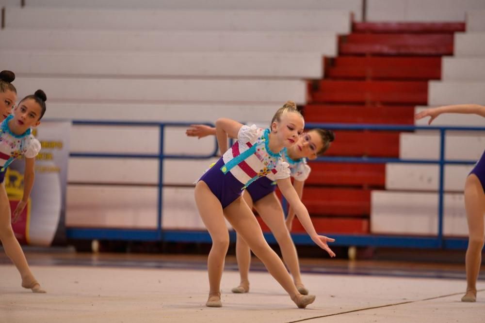 Campeonato Regional de Gimnasia Estética