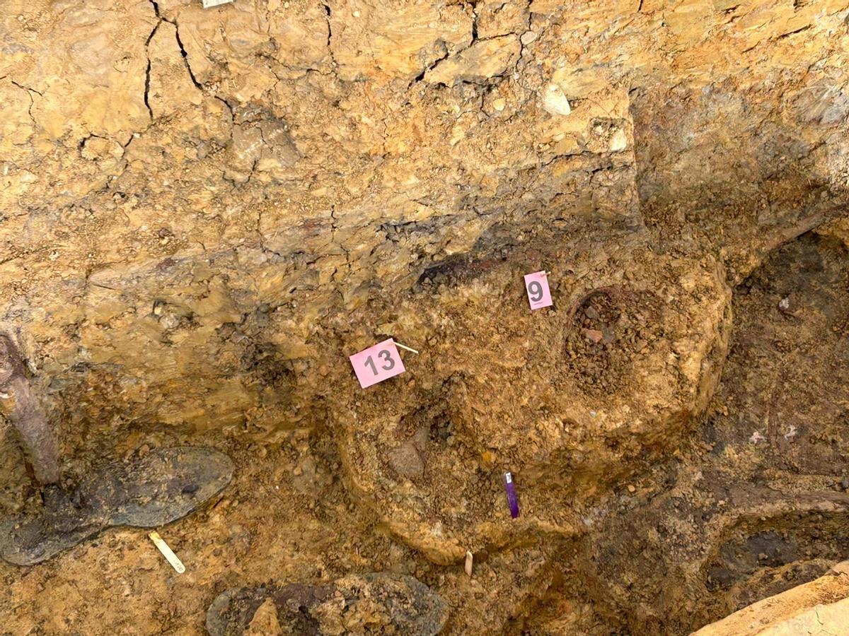 EN IMÁGENES: Así avanzan los trabajos de exhumación en la fosa común de La Lloba, en Castrillón