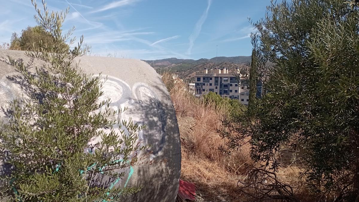 Uno de los restos más llamativos de las obras de la hiperronda, en el parque periurbano de La Virreina, esta semana.