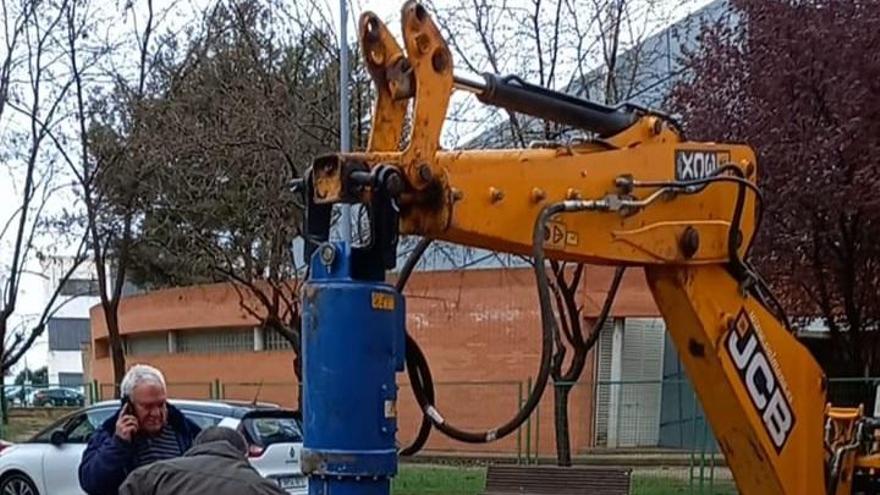 El Ayuntamiento de Teruel retira los árboles que no sobrevivieron a las heladas tras la borrasca Filomena