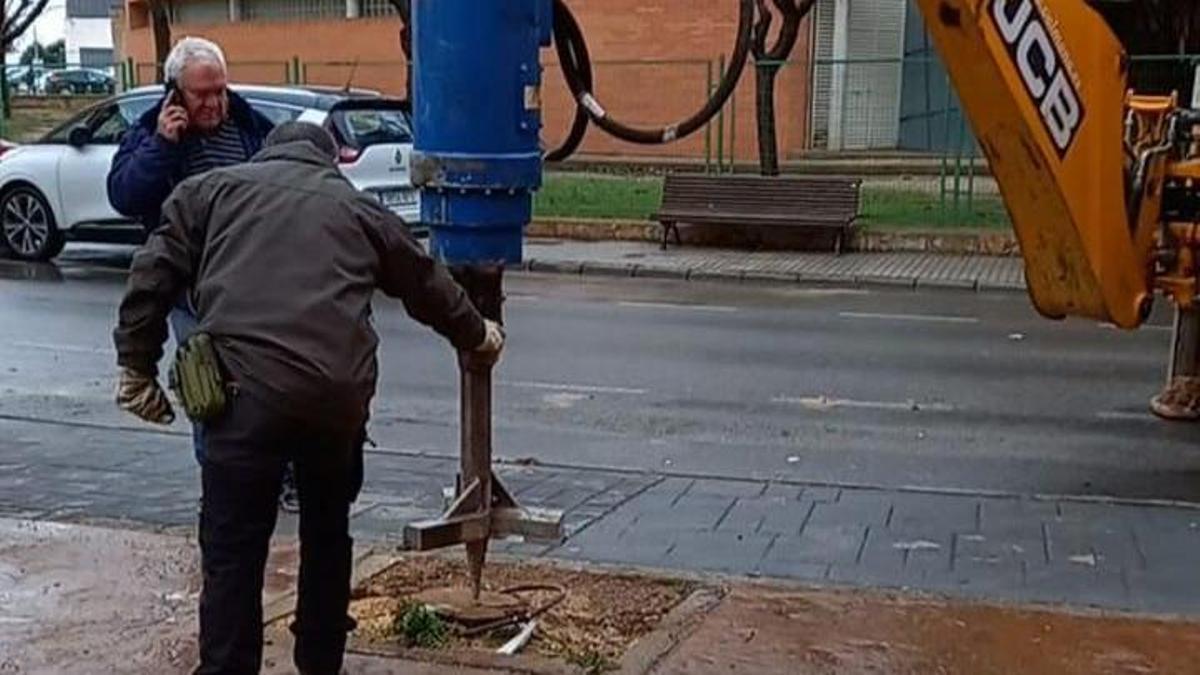 El Ayuntamiento de Teruel ha comenzado a retirar la parte del tronco y raíces de los árboles que quedaron dañados por las heladas posteriores a Filomena