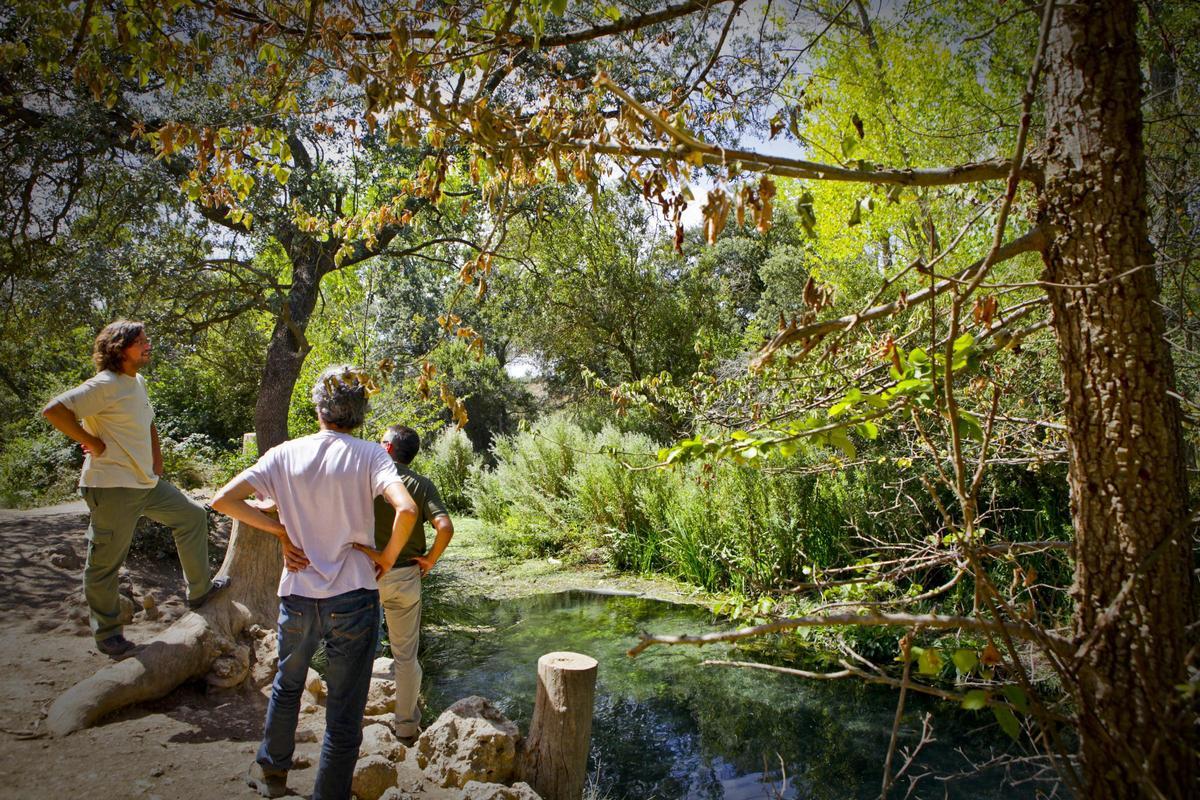 Destino Capricornio: Realizar una ruta de senderismo en plena naturaleza por el nacimiento del rio Vinalopó.