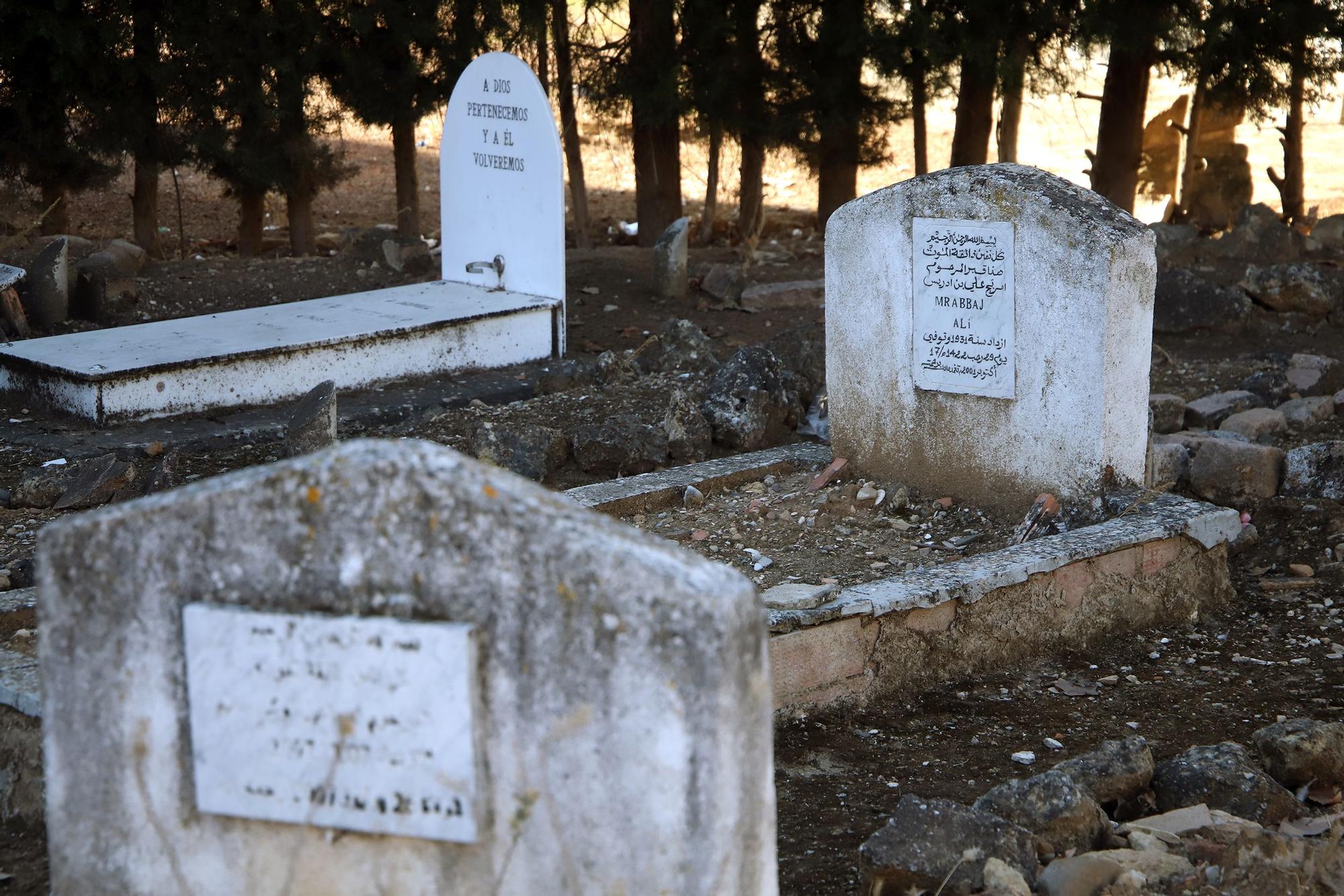 Un recorrido por la historia de Córdoba en el cementerio de La Salud