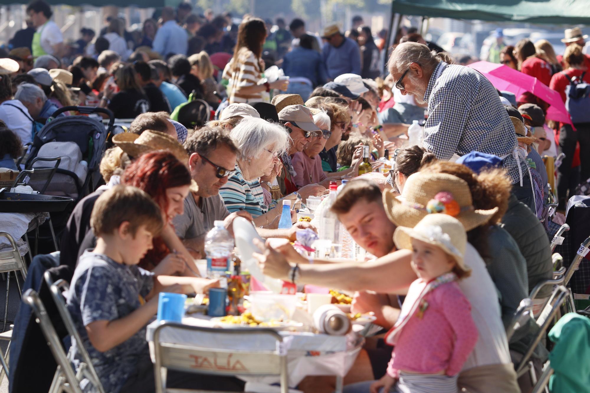 Todas las imágenes del concurso de paellas de intercollas de la Magdalena 2023