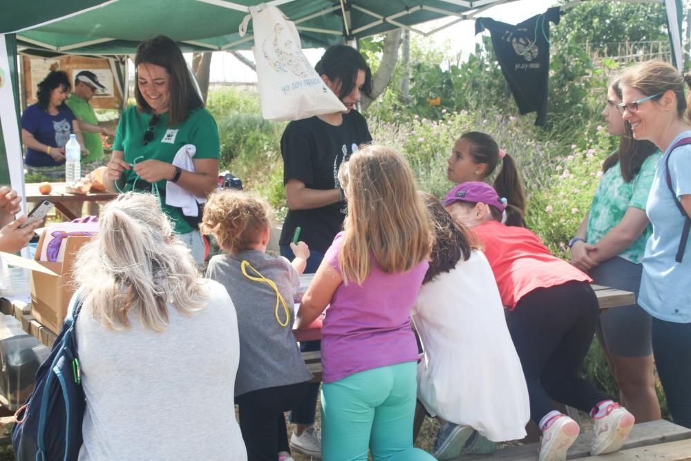 Semana del Medio Ambiente en Alaquàs