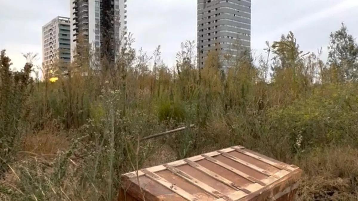 Los huertos de Sociópolis abandonados