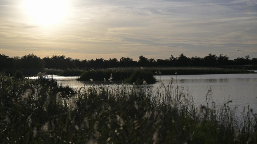 Así han robado los agricultores 400 millones de litros de los los acuíferos cercanos a las Tablas de Daimiel