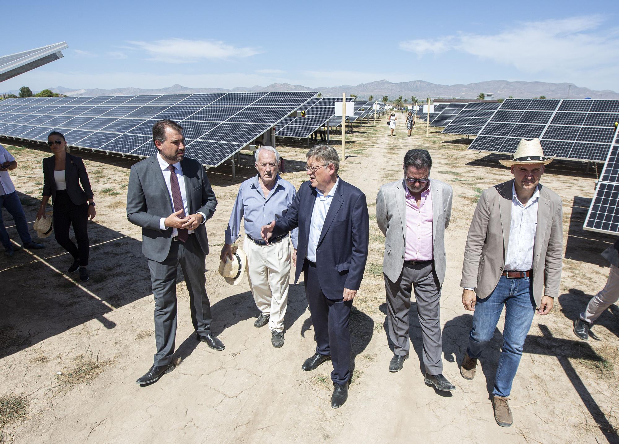 La primera planta solar de la cooperativa eléctrica de Catral ve la luz después de tres años