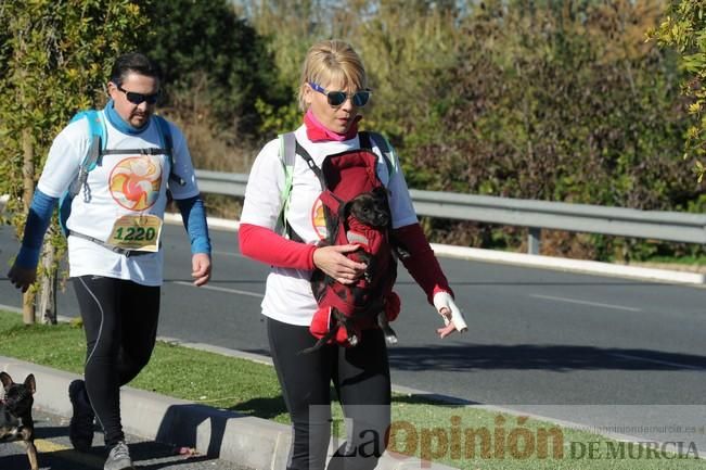 Carrera popular AFACMUR y La7TV en La Alberca: senderistas