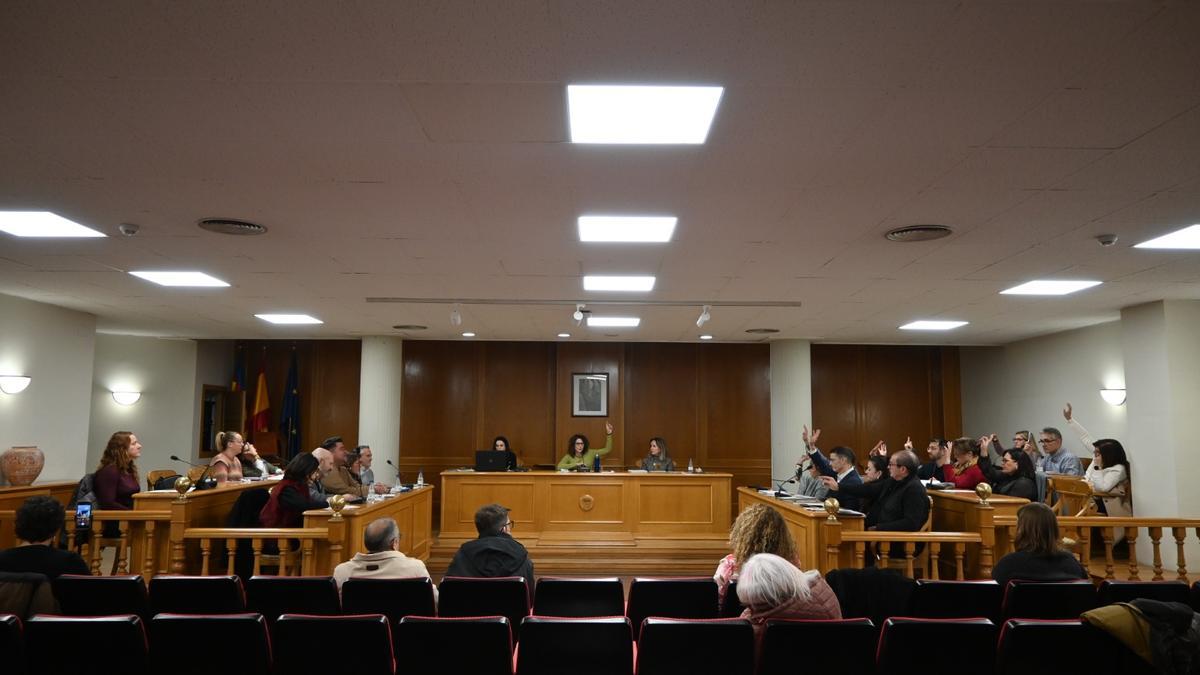 Imagen del pleno municipal