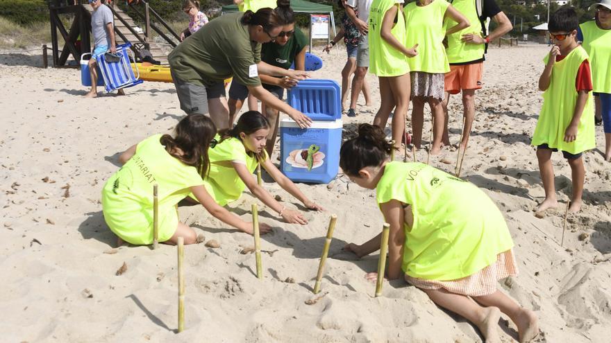 Galería de imágenes de la jornada en ses Salines de Ibiza sobre el desove de tortugas