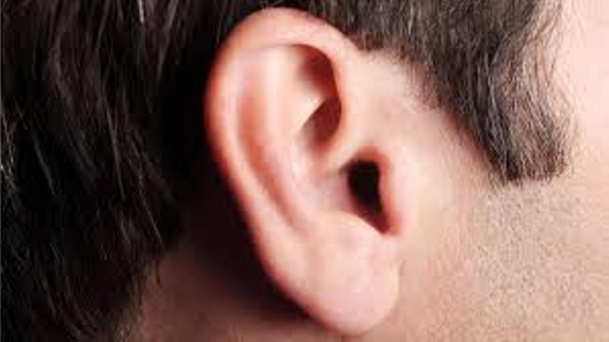 Le arranca la oreja de un mordisco y lo cuelga en redes para burlarse