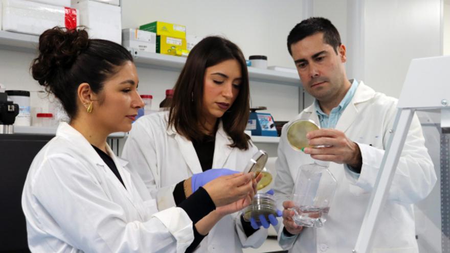 Investigadores de la UCO desarrollan un modelo para predecir el crecimiento de la listeria en quesos frescos