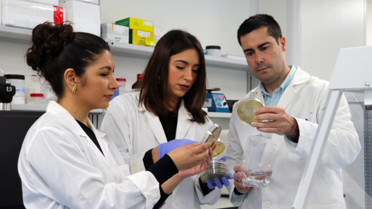 Integrantes del grupo de investigación observan una placa de petri.