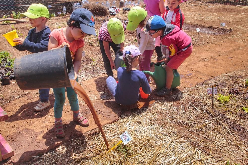 Escuela de verano de Asaga 2019