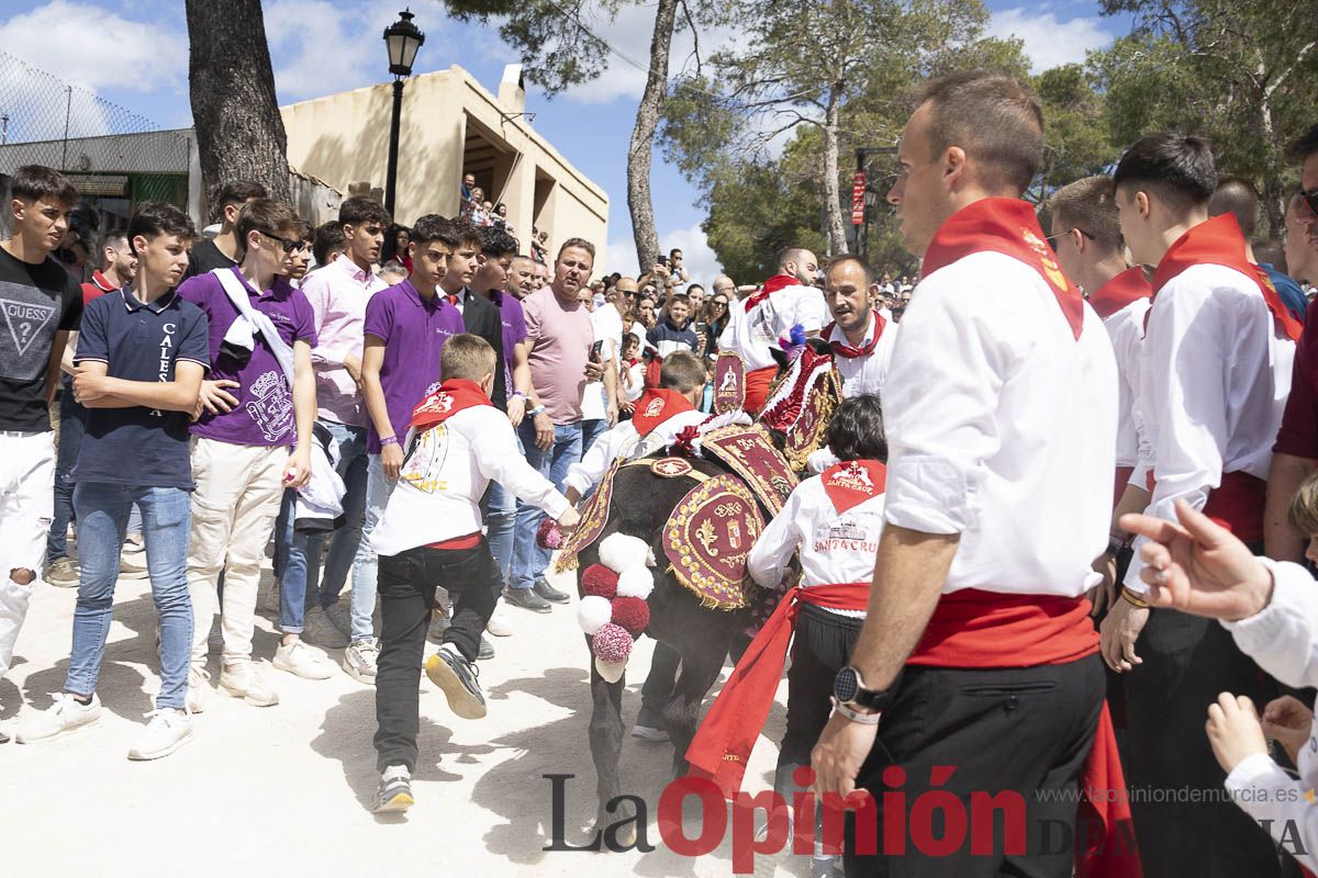 Fiestas de Caravaca | Desfile infantil del Bando de los Caballos del Vino