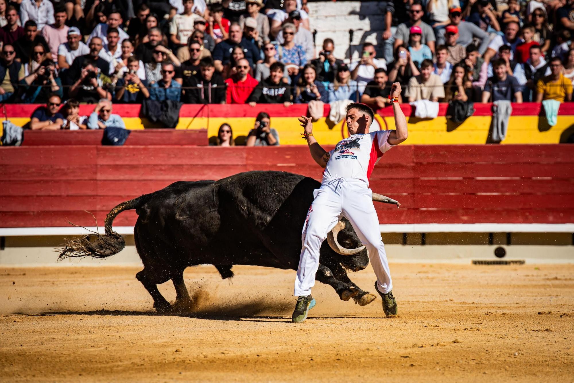 Así ha sido la gran final del campeonato de recortadores