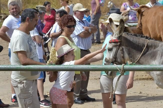 Muestra de ganado y feria de artesanía por las ...