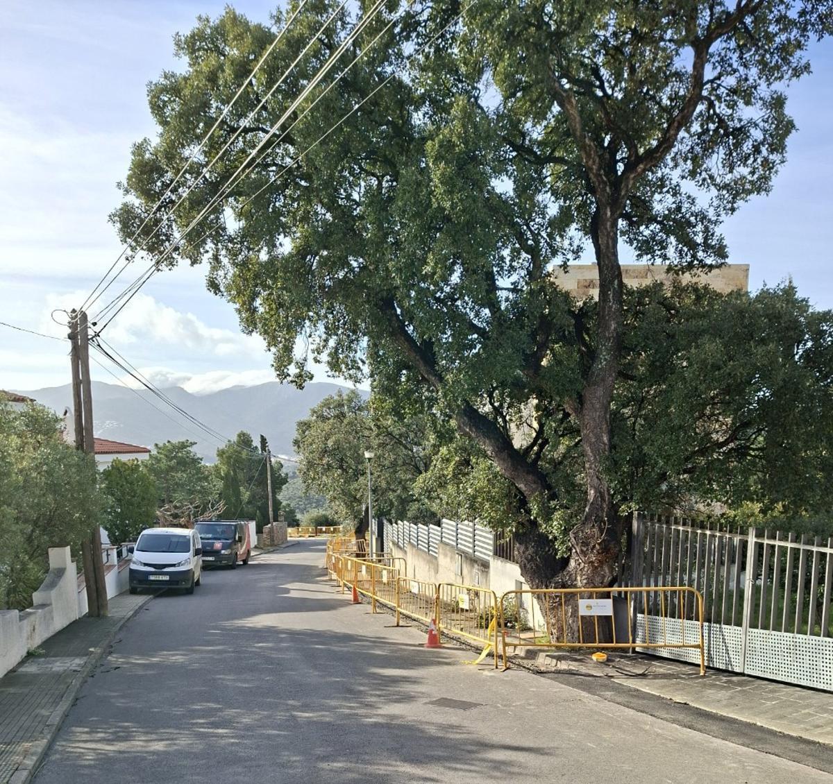 Endesa porta a terme millores a la xarxa de Llançà.