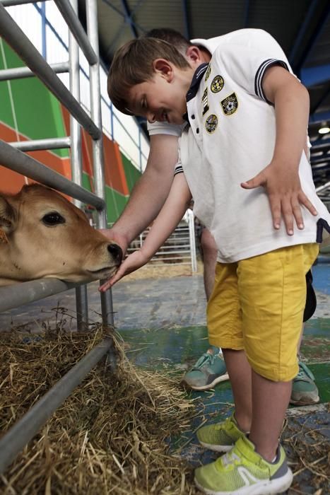 Feria de San Antonio