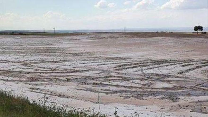 La granizada del miércoles causó graves daños en 3.600 hectáreas