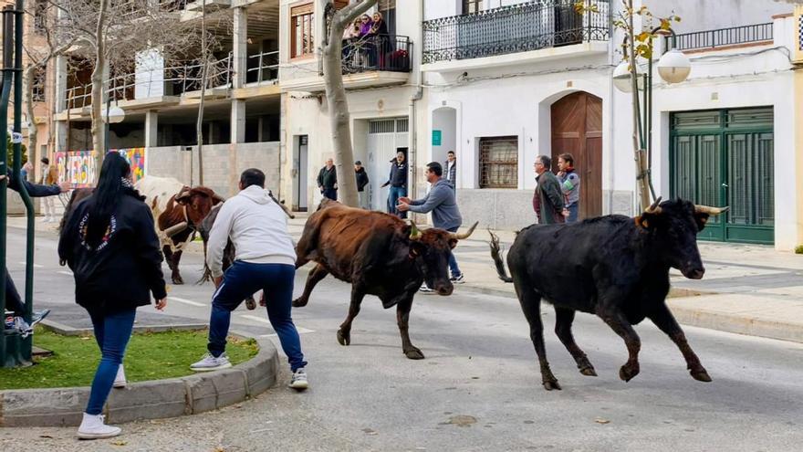 Benicàssim cierra sus fiestas con toros, bolilleras y sorteo en la Cagà del Manso