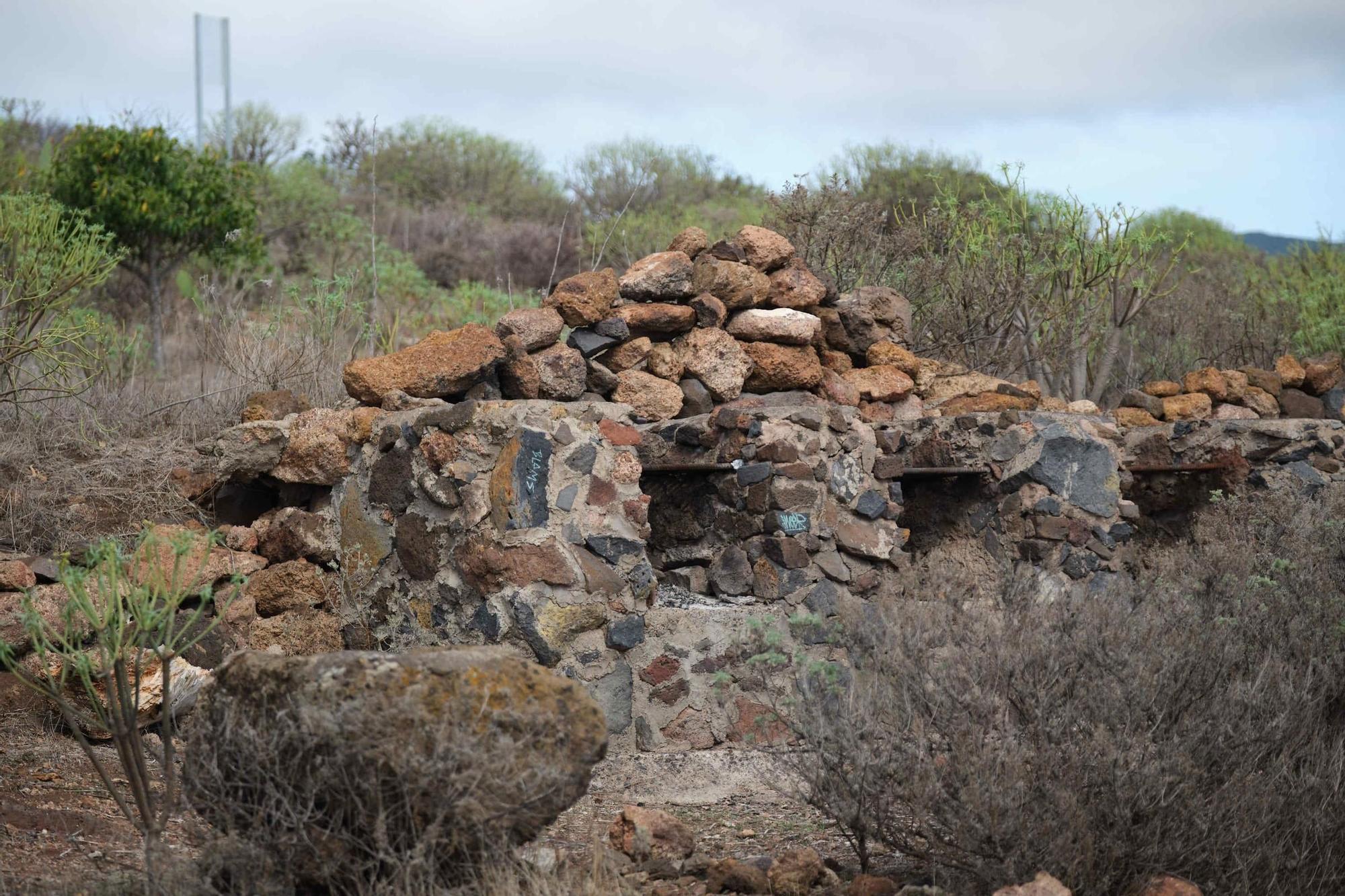 Recuperación ambiental en el Parque de Las Mesas