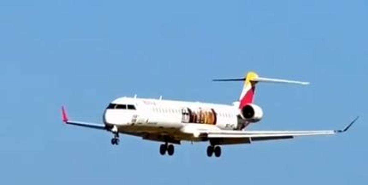 Imagen del avión que aterrizó de Valencia a Ibiza